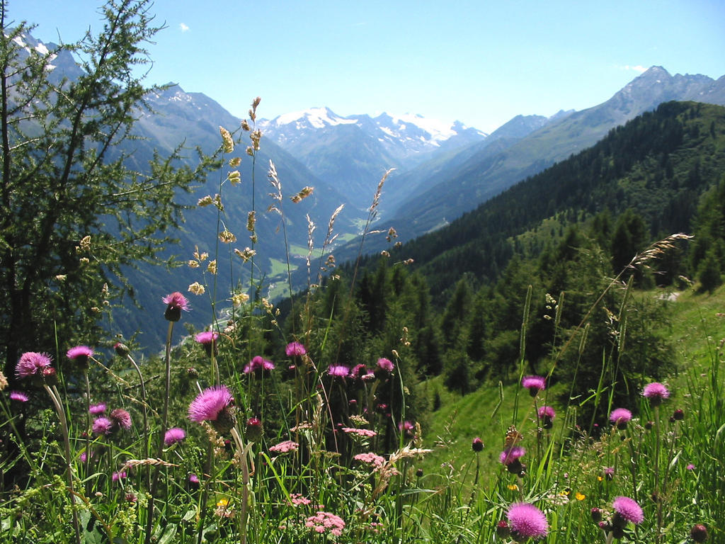 Chalet Claudia Neustift im Stubaital Exterior foto