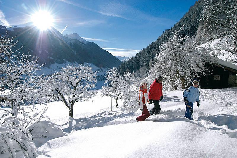 Chalet Claudia Neustift im Stubaital Exterior foto
